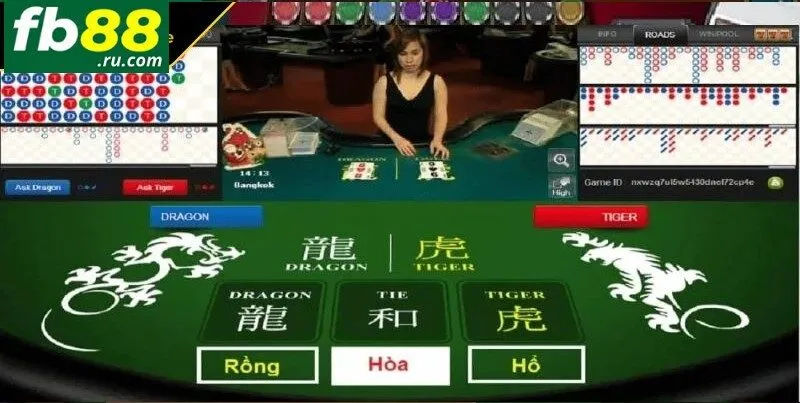 Không nên đặt cược vào cửa hoà khi tham gia Rồng Hổ